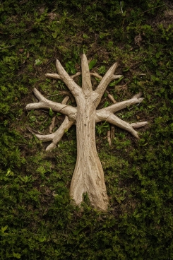 10-april-sprueche-fuer-die-seele-motivationssprueche-lebensweisheiten-spruch-des-tages-veraenderung-wachstumschancen-245 10. April: Die Natur passt sich den Jahreszeiten an. Passe dich an Veränderungen an und finde in ihnen Chancen zum Wachsen! - Sprüche für die Seele | Motivationssprüche | Lebensweisheiten | Spruch des Tages